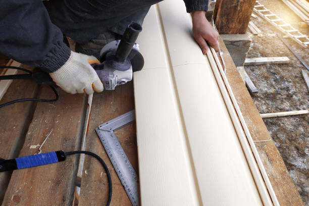 Best Fascia and Soffit Installation  in Globe, AZ