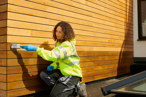 Best Custom Trim and Detailing for Siding  in Globe, AZ