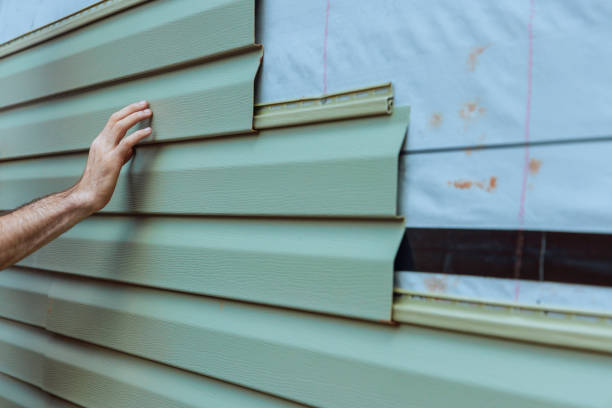 Best Siding Painting and Refinishing  in Globe, AZ